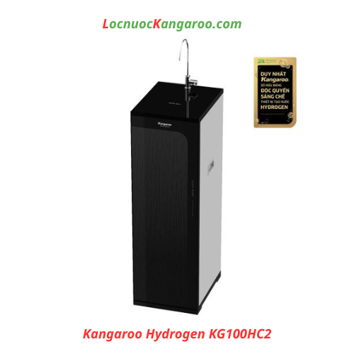 Kangaroo Hydrogen KG100HC2